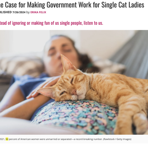 The Case for Making Government Work for Single Cat Ladies