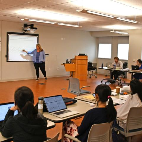 Karen Nylund-Gibson teaching at the 2019 Methods U