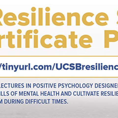 Resilience Summit header