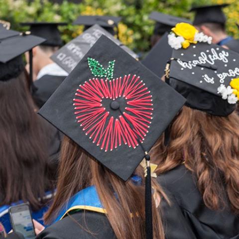 a view of TEP graduates showing their mortarboards