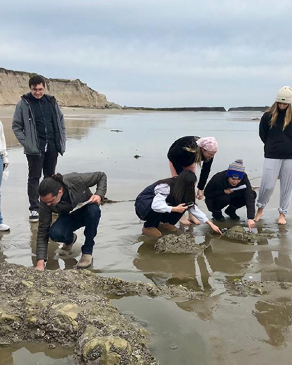 MST students on the beach 